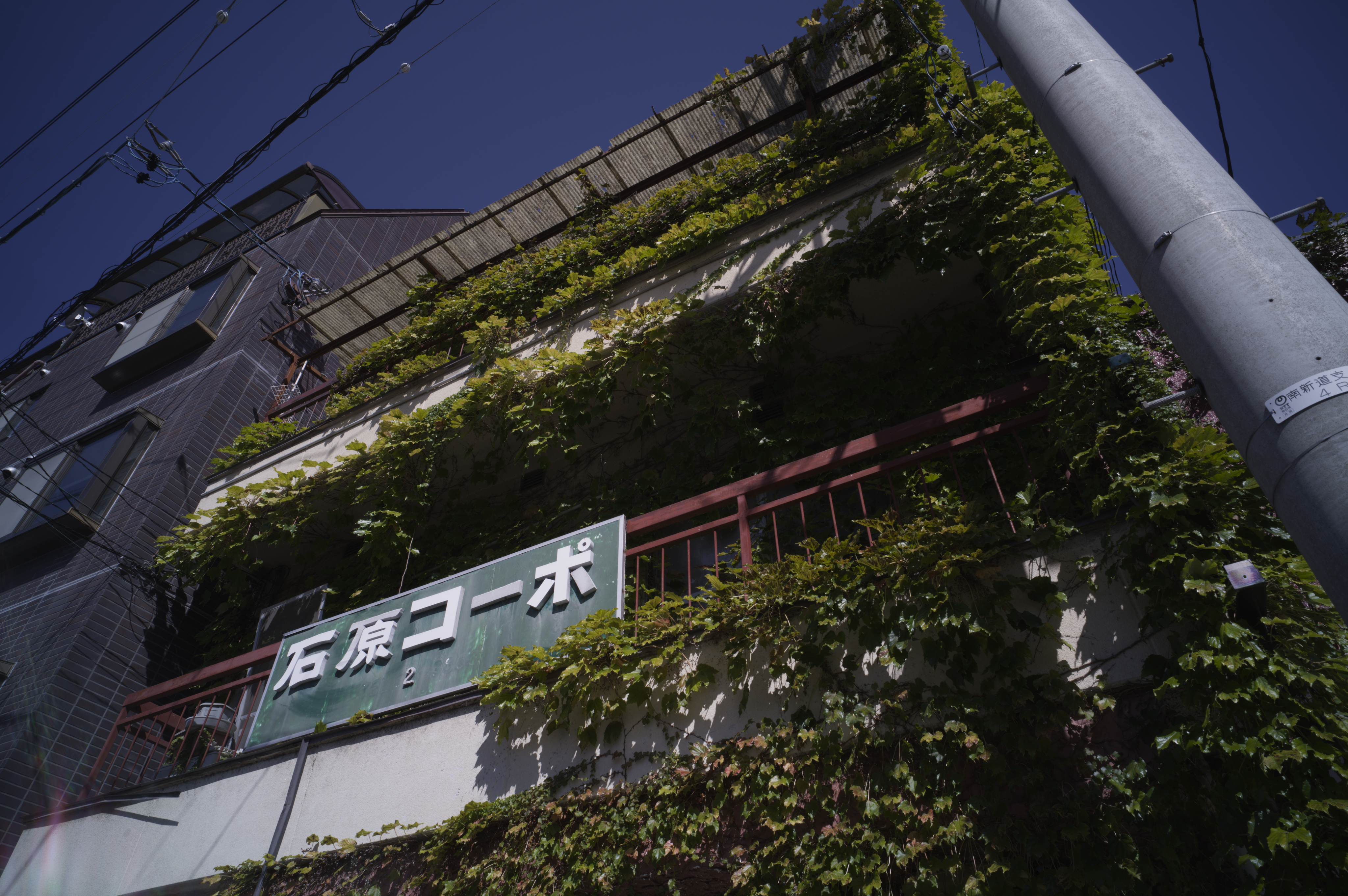 _SDI7988.png