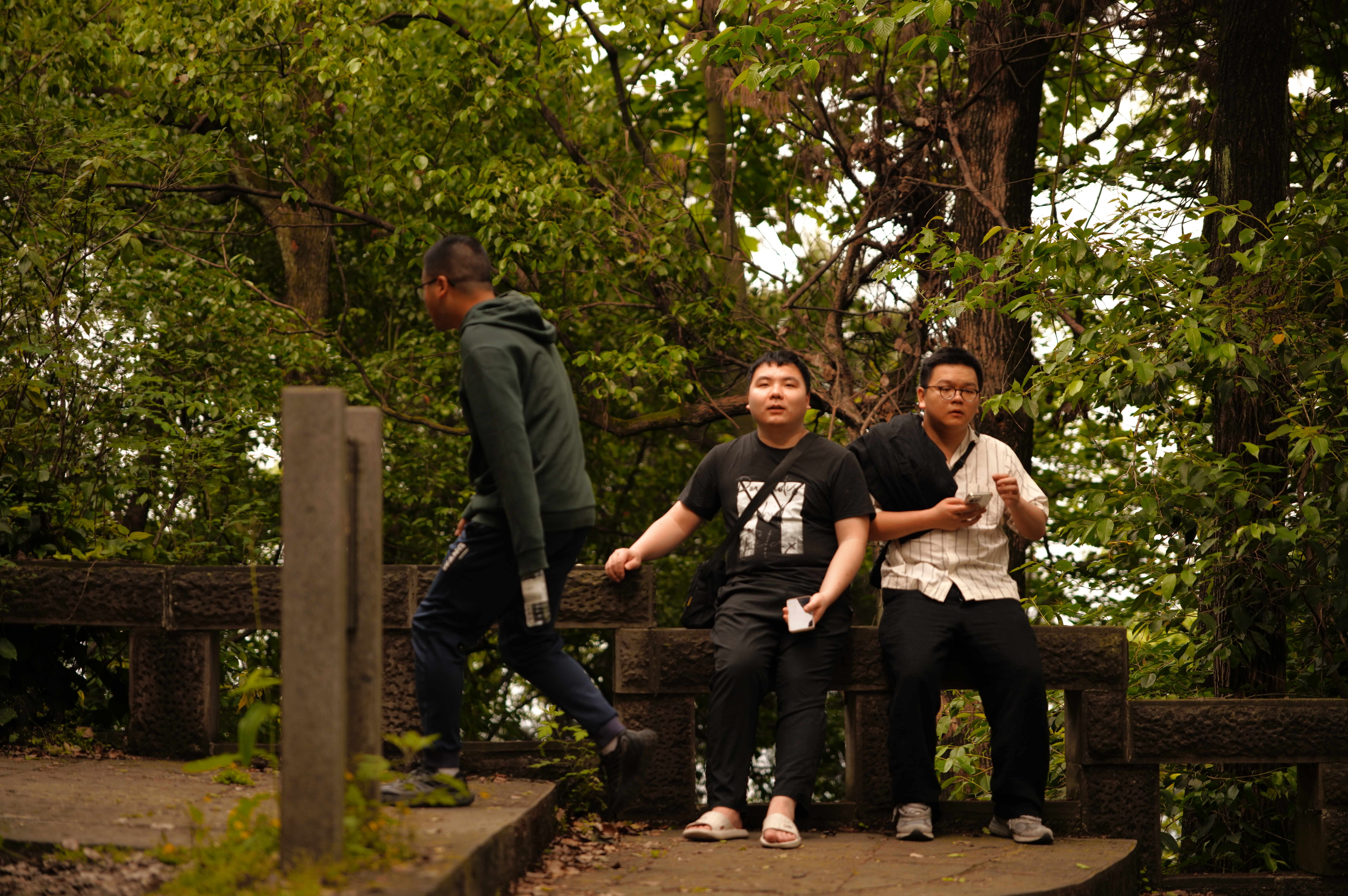 SDIM0894.JPG