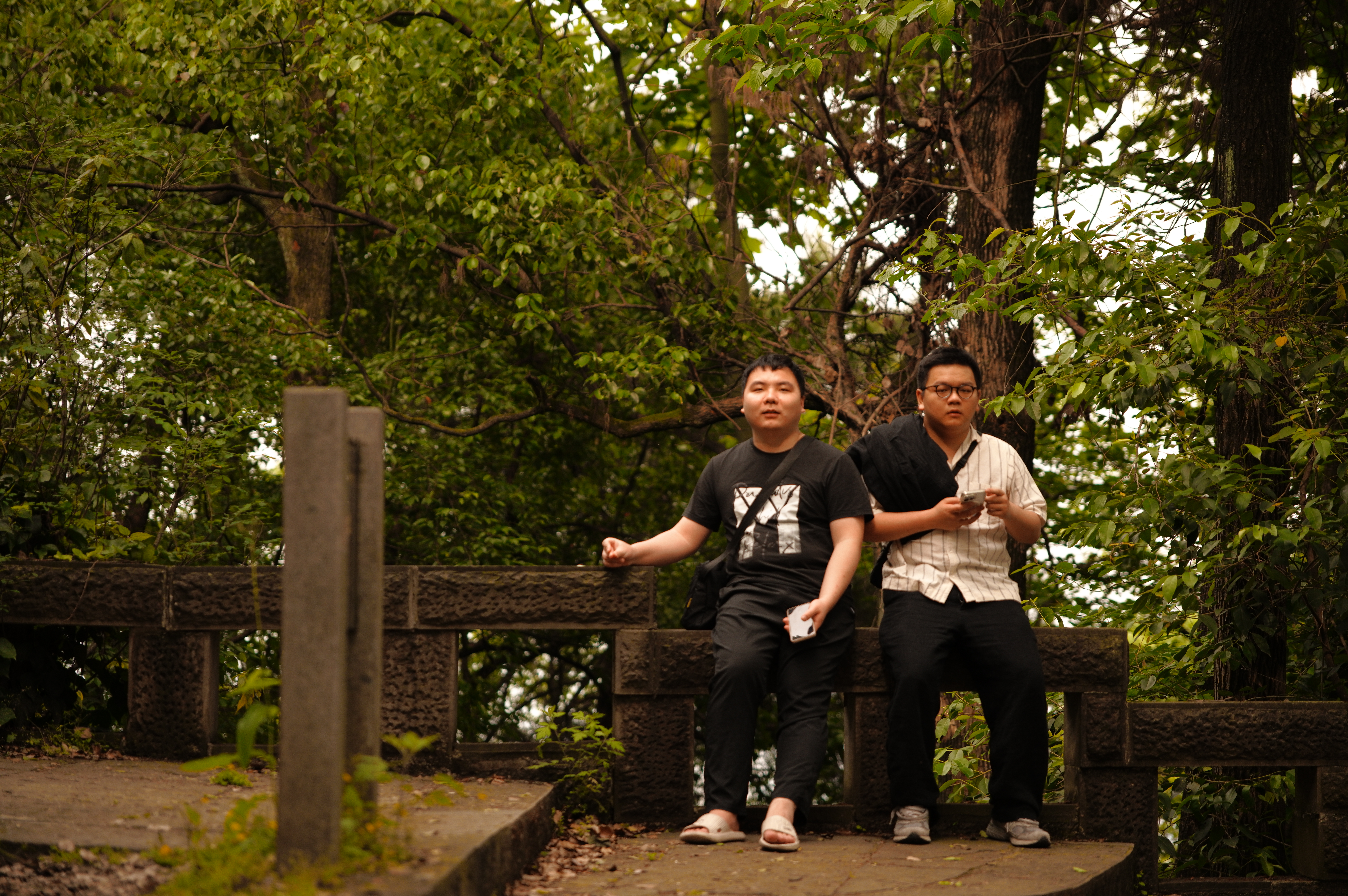 SDIM0895.JPG