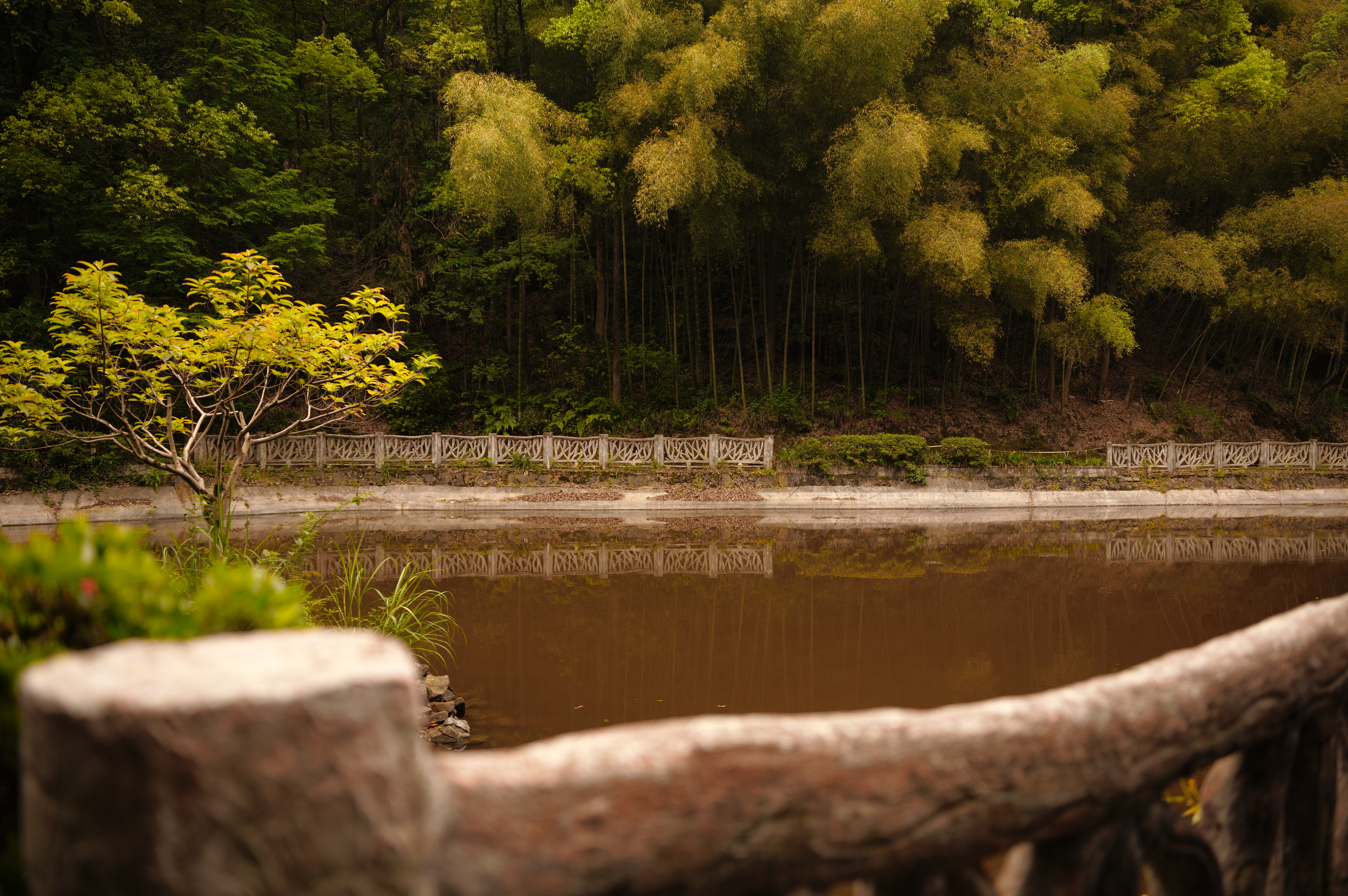 SDIM0888.JPG